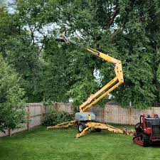 Artificial Turf Installation in Mount Juliet, TN