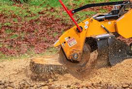 Best Tree Risk Assessment  in Mount Juliet, TN