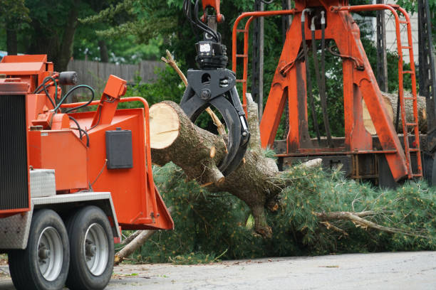 Best Aeration Services  in Mount Juliet, TN